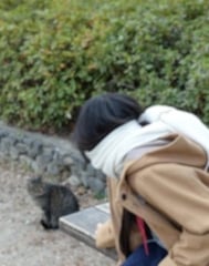 도라에몽은 어디로 사라졌는지