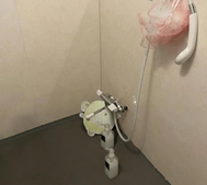 본지명이벤트