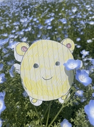 본지명이벤트