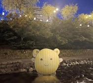 본지명이벤트