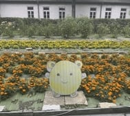 본지명이벤트