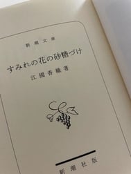 두근두근 읽기절정💓