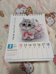 🐈️