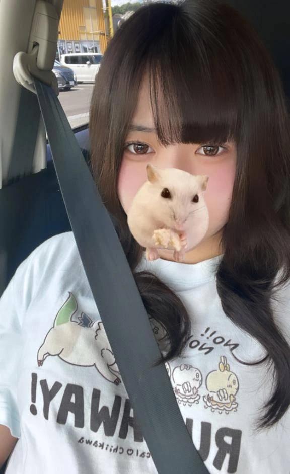 쟈무쟝에서의 놀이는