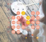 9월의 임시 이동 🌰🐿