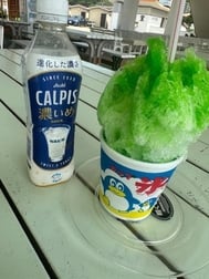 올해 초 🍧