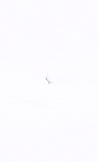 20260706_072529_b02d7e908b8adfbac4f00e2aa61db355.gif