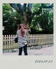 \\재게시 //