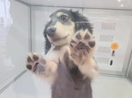 접수 종료했습니다♡