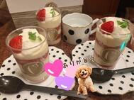 🫧시고오와~🙋‍♀️🐄🍚