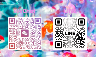 20261028_114018_863ba5b2bfb9b8f3bd93657d