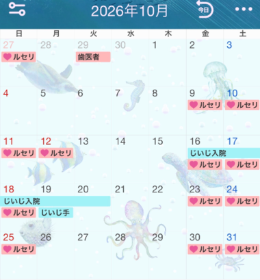 20260924_174528_b2478074f06d7a5479ccb2ad903f6f95.png