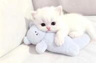 이 기간 동안 감사합니다 ♡