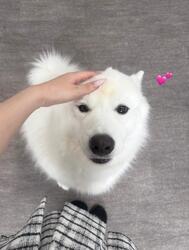 퇴근⭐️