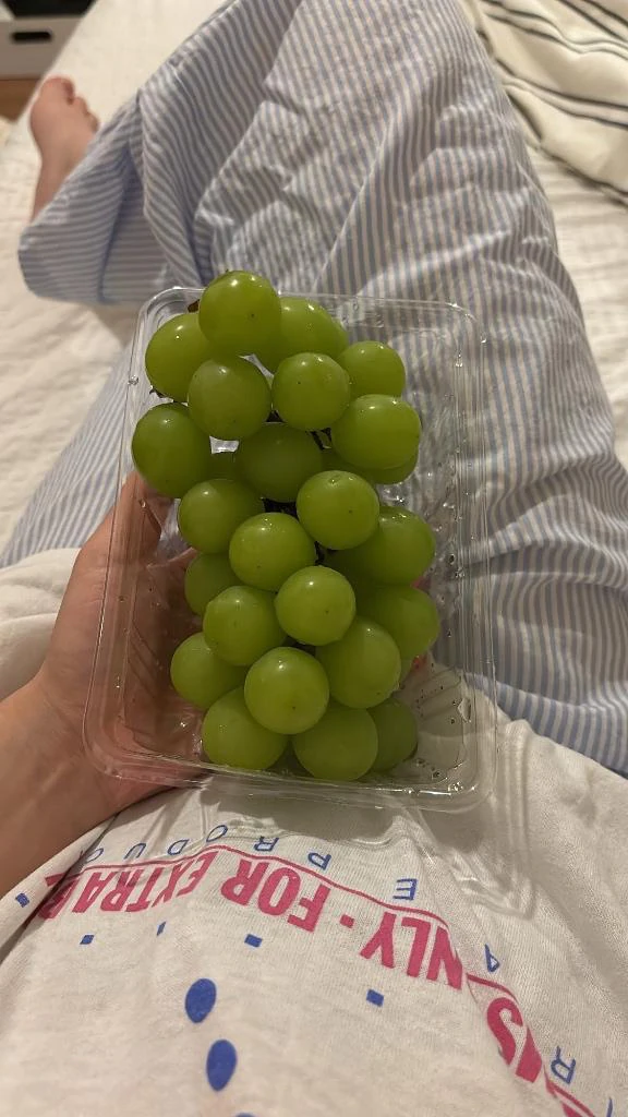 과일🍇