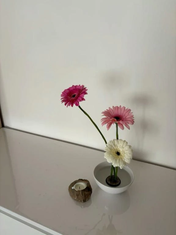 🌸