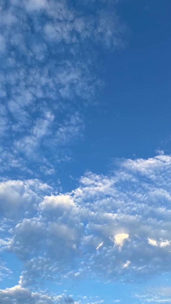 휴식