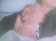🐶경기🐶