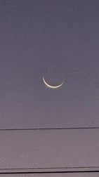 초승달 🌙✨️