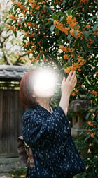 어젯밤
