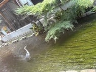 오늘도