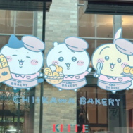 캄파이