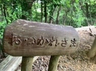 사과...