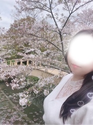 꽃놀이 날씨♡