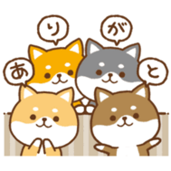 사이좋은 H씨