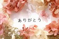 16일_S님