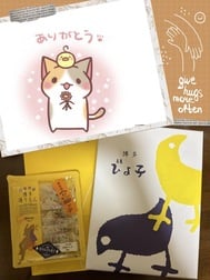 17일 M님