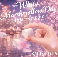 White Marshmallow Day 개최중♡