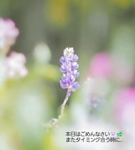 방금 문의해 주신 당신에게 ♡