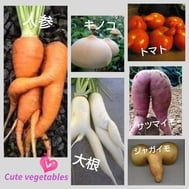 ♡베지터블♡