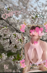 벚꽃 싱크대