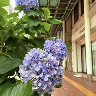 불행
