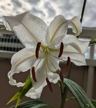 안녕하세요♡