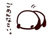 중요한 소식⋆Λ
