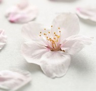 날카롭게