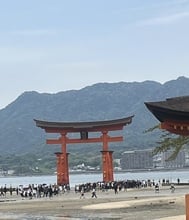벗어날 것 같아...
