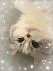 향해