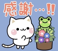 ♡내일의♡