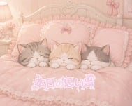♡오늘 ♡