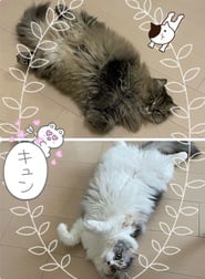 13일 시간 변경 데스(땀)