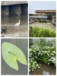 고맙습니다.