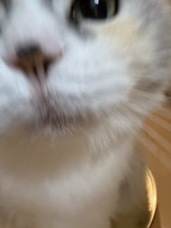 좋은 아침