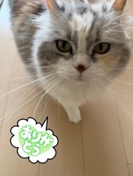 ♡오늘 예약예요♡