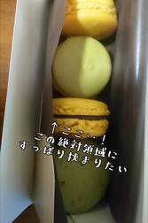 꿈속에서 놀고 싶다