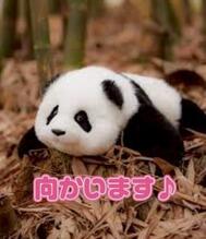 지금, 향하고 있습니다♪