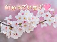 이제 가고 있어요 🩷